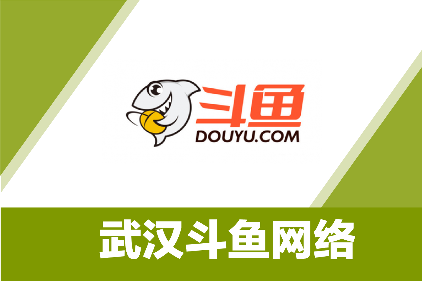 武汉斗鱼网络