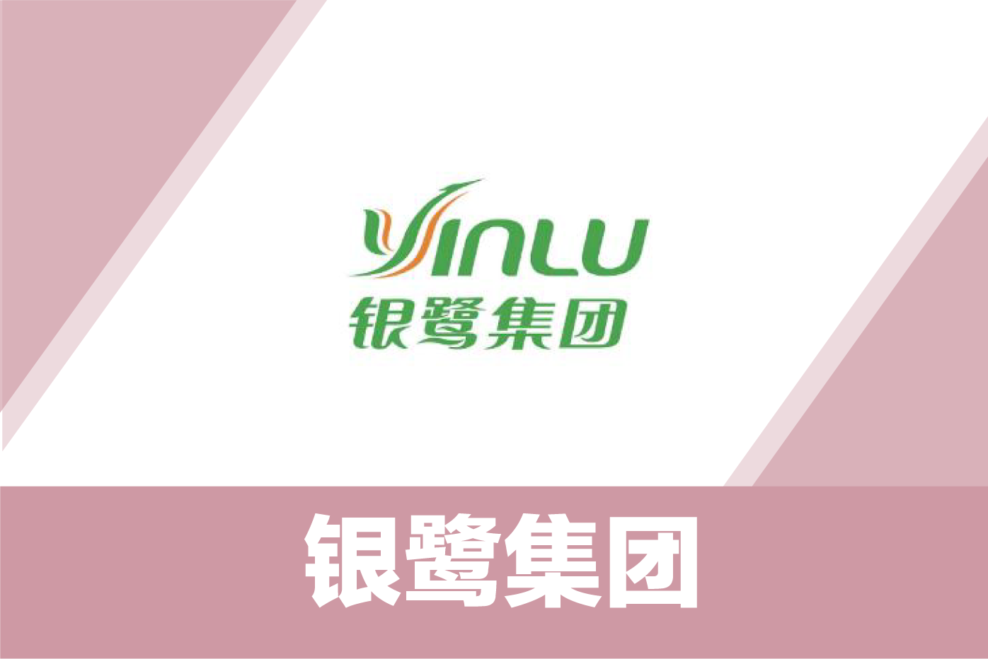 银鹭集团